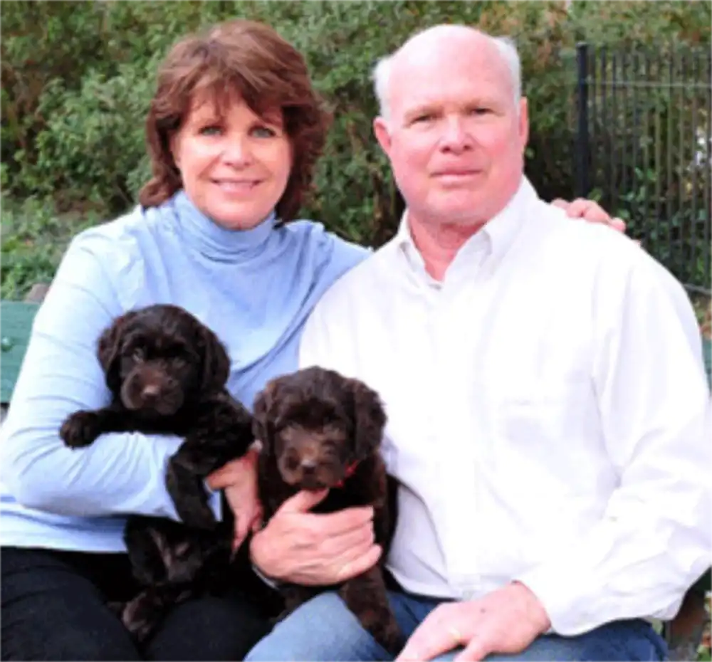 Southern Cross Labradoodles